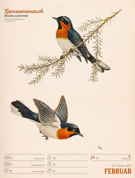Produktbild: Wunderbare Vogelwelt Wochenplaner Kalender 2027