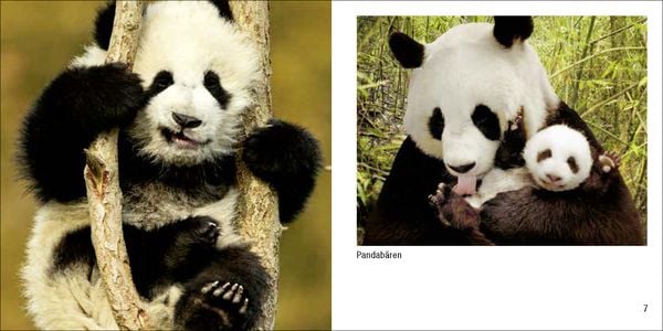 Produktbild: Tierbabys &ndash; Book To Go