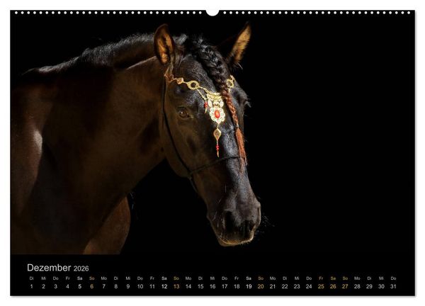 Produktbild: Magische Momente - Pferde Horses Caballos (hochwertiger Premium Wandkalender 2026 DIN A2 quer), Kunstdruck in Hochglanz