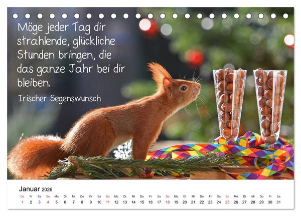 Produktbild: Der literarische Eichh&ouml;rnchen-Kalender (Tischkalender 2026 DIN A5 quer), CALVENDO Monatskalender