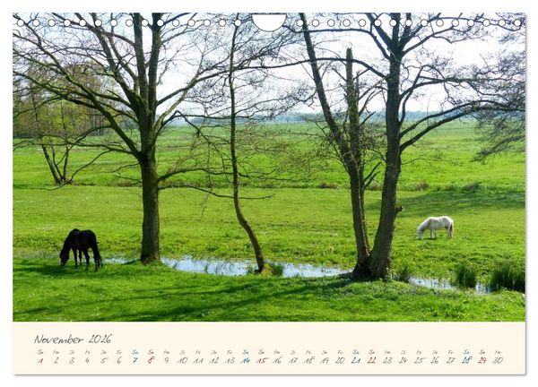 Produktbild: Bremer Blockland - Landleben in der Gro&szlig;stadt (Wandkalender 2026 DIN A4 quer), CALVENDO Monatskalender