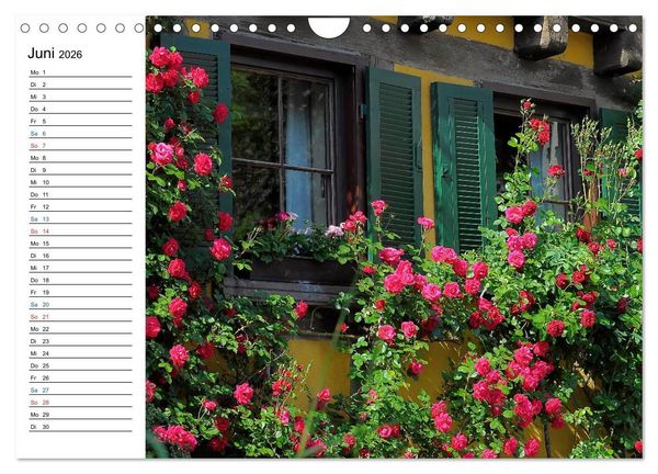 Produktbild: Landleben (Wandkalender 2026 DIN A4 quer), CALVENDO Monatskalender