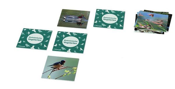 Produktbild: Einheimische Vogelarten &ndash; das Memo-Spiel