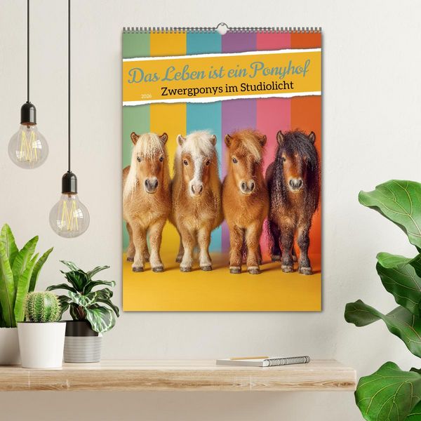 Produktbild: Das Leben ist ein Ponyhof - Zwergponys im Studiolicht (Wandkalender 2026 DIN A2 hoch), CALVENDO Monatskalender