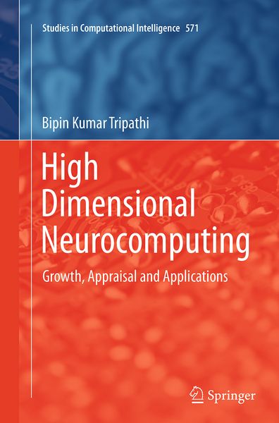 Produktbild: High Dimensional Neurocomputing
