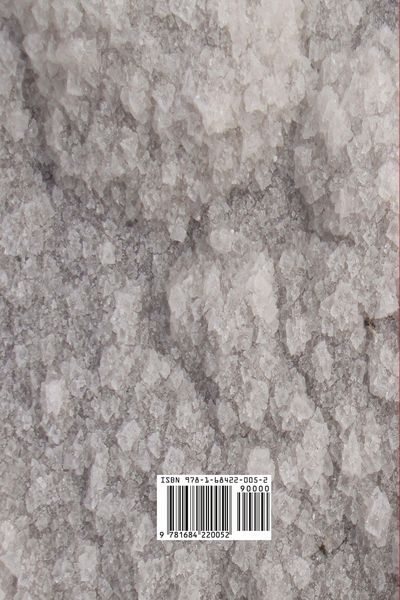 Produktbild: The Price of Salt
