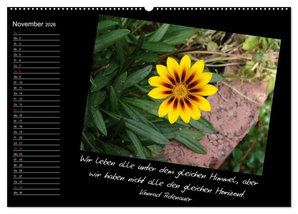 Produktbild: Gelbe Lebensfreude (Wandkalender 2026 DIN A2 quer), CALVENDO Monatskalender