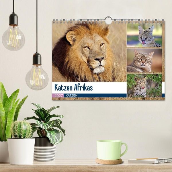 Produktbild: Katzen Afrikas (Wandkalender 2027 DIN A4 quer), CALVENDO Monatskalender