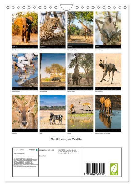 Produktbild: South Luangwa Wildlife (Wall Calendar 2026 DIN A4 portrait), CALVENDO 12 Month Wall Calendar