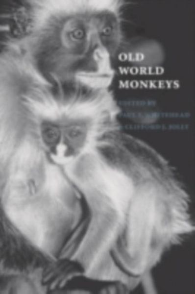 Produktbild: Old World Monkeys