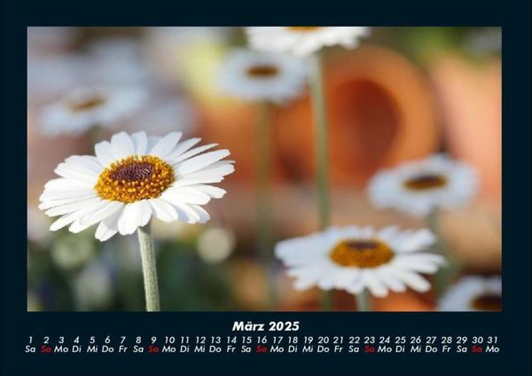 Produktbild: Blumenkalender 2025 Fotokalender DIN A4