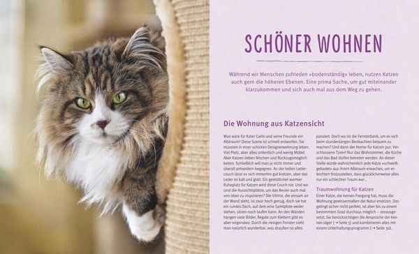 Produktbild: Wohnungskatzen