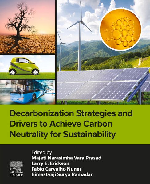 Produktbild: Decarbonization Strategies and Drivers to Achieve Carbon Neutrality for Sustainability