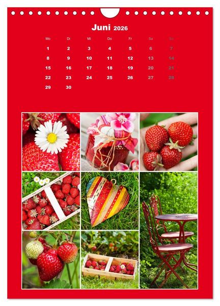 Produktbild: Der kunterbunte Collagen Kalender (Wandkalender 2026 DIN A4 hoch), CALVENDO Monatskalender