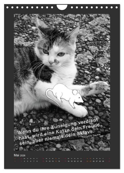 Produktbild: Katz & Maus (Wandkalender 2026 DIN A4 hoch), CALVENDO Monatskalender