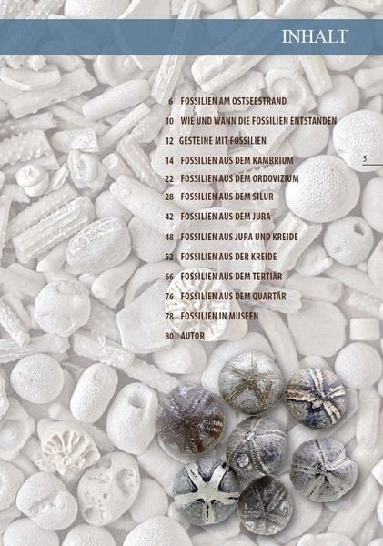 Produktbild: Fossilien am Ostseestrand