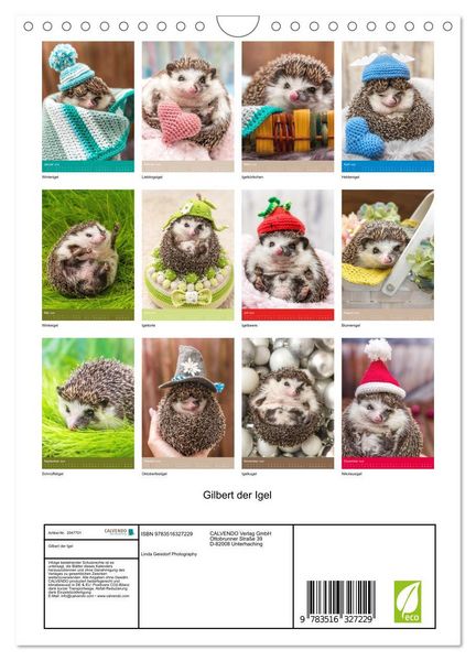 Produktbild: Gilbert der Igel (Wandkalender 2026 DIN A4 hoch), CALVENDO Monatskalender
