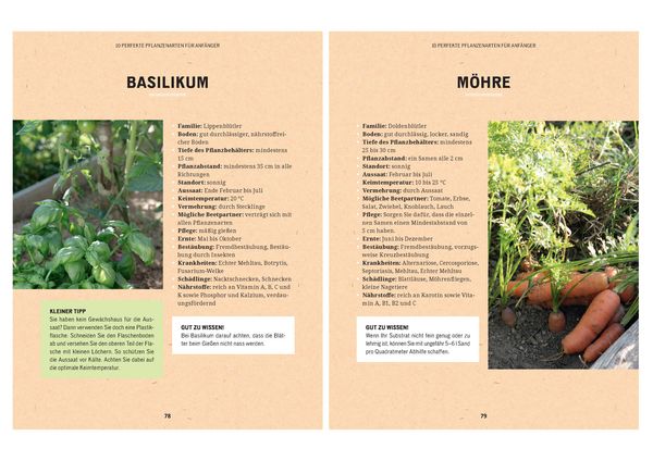 Produktbild: Hochbeet - einfach g&auml;rtnern und ertragreich ernten
