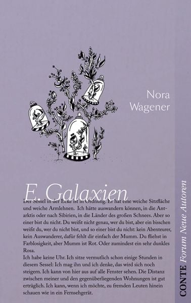 Produktbild: E.Galaxien