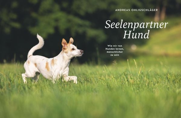 Seelenpartner Hund
