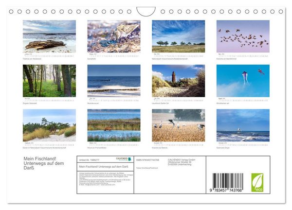 Produktbild: Mein Fischland! Unterwegs auf dem Dar&szlig; (Wandkalender 2026 DIN A4 quer), CALVENDO Monatskalender