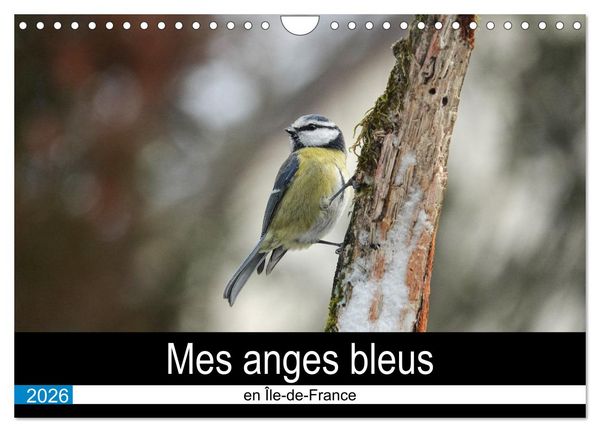 Mes anges bleus en Île-de-France (Calendrier mural 2026 DIN A4 vertical), CALVENDO calendrier mensuel
