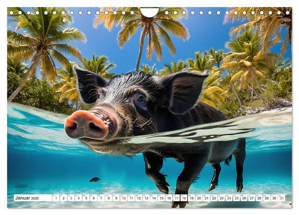 Produktbild: Schwimmende Schweine im Paradies (Wandkalender 2026 DIN A4 quer), CALVENDO Monatskalender