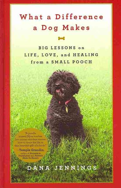 Produktbild: What a Difference a Dog Makes: Big Lessons on Life, Love, and Healing from a Small Pooch