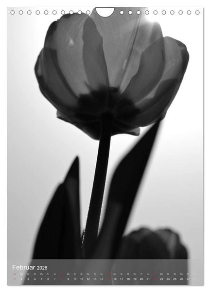 Produktbild: Monochrome Bl&uuml;ten - In Schwarz-Wei&szlig; Bildern durch das Jahr (Wandkalender 2026 DIN A4 hoch), CALVENDO Monatskalender