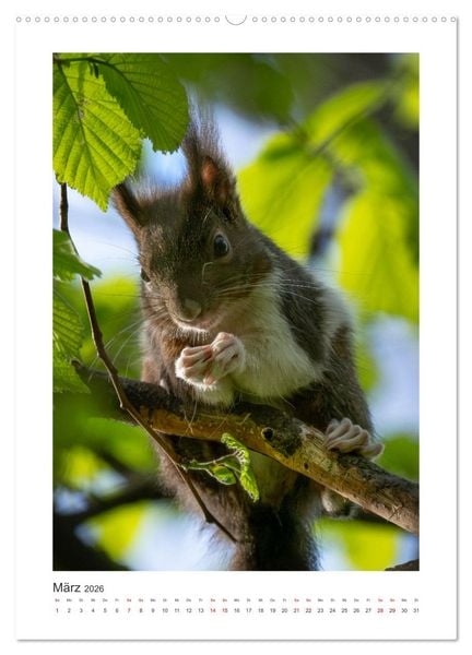 Produktbild: Tierisches Wien (hochwertiger Premium Wandkalender 2026 DIN A2 hoch), Kunstdruck in Hochglanz