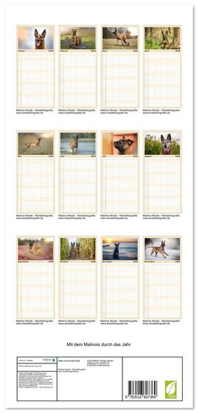 Produktbild: Familienplaner 2026 - Mit dem Malinois durch das Jahr mit 5 Spalten (Wandkalender, 21 x 45 cm) CALVENDO