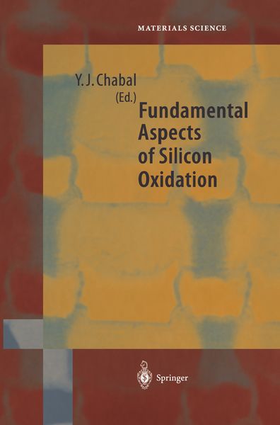 Produktbild: Fundamental Aspects of Silicon Oxidation