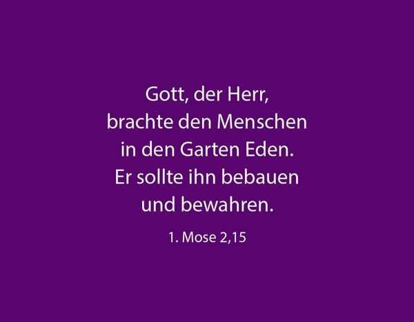 Produktbild: 50 Dinge, die Gott an dir liebt &ndash; Textkartenbox