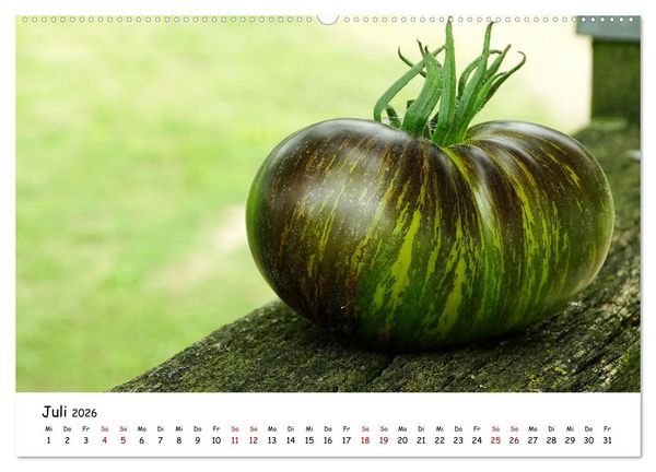 Produktbild: Tomaten Satt (hochwertiger Premium Wandkalender 2026 DIN A2 quer), Kunstdruck in Hochglanz