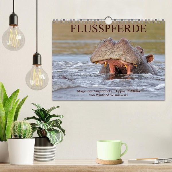 Produktbild: Flusspferde Magie des Augenblicks - Hippos in Afrika (Wandkalender 2026 DIN A4 quer), CALVENDO Monatskalender