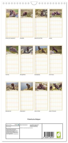 Produktbild: Familienplaner 2027 - Polarfuchs-Welpen mit 5 Spalten (Wandkalender, 21 x 45 cm) CALVENDO