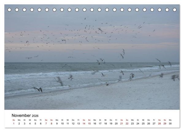 Produktbild: M&ouml;wen am Meer (Tischkalender 2026 DIN A5 quer), CALVENDO Monatskalender