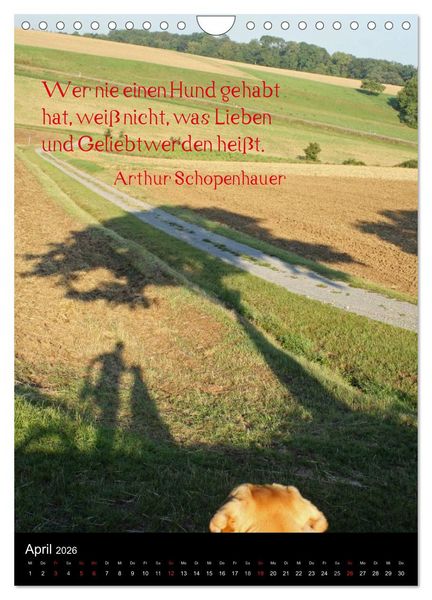 Produktbild: Der Broholmer (Wandkalender 2026 DIN A4 hoch), CALVENDO Monatskalender