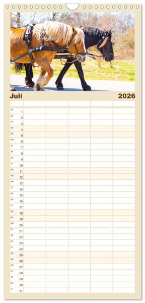 Produktbild: Familienplaner 2026 - Geliebte Tiere auf dem Bauernhof mit 5 Spalten (Wandkalender, 21 x 45 cm) CALVENDO