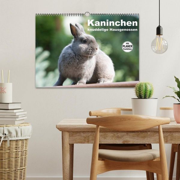 Produktbild: Kaninchen - knuddelige Hausgenossen (Wandkalender 2027 DIN A3 quer), CALVENDO Monatskalender