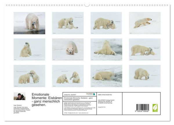 Produktbild: Emotionale Momente: Eisb&auml;ren - ganz menschlich gesehen. (hochwertiger Premium Wandkalender 2026 DIN A2 quer), Kunstdruck in Hochglanz