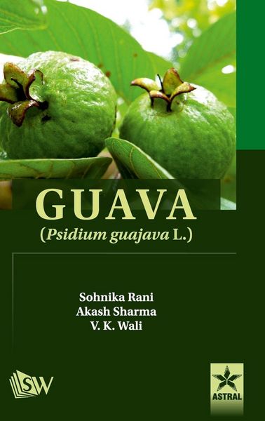 Produktbild: Guava