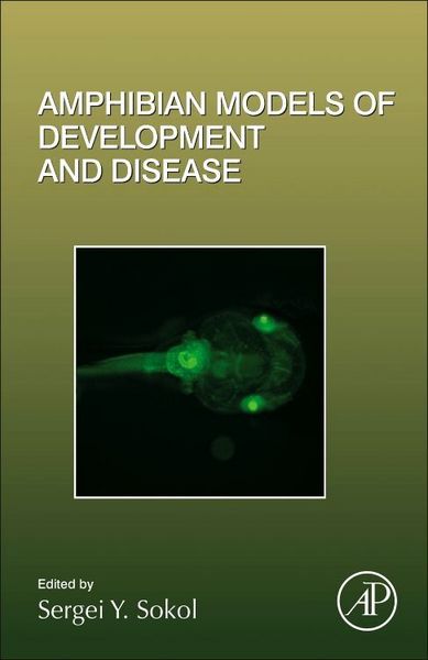 Produktbild: Amphibian Models of Development and Disease