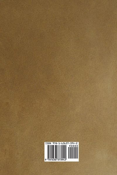 Produktbild: A History of Chinese Literature