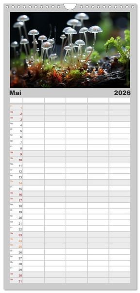 Produktbild: Familienplaner 2026 - Wunderwelt Mikrokosmos mit 5 Spalten (Wandkalender, 21 x 45 cm) CALVENDO