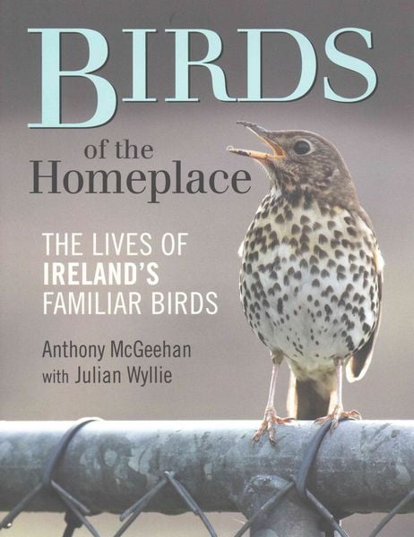 Produktbild: Birds of the Homeplace