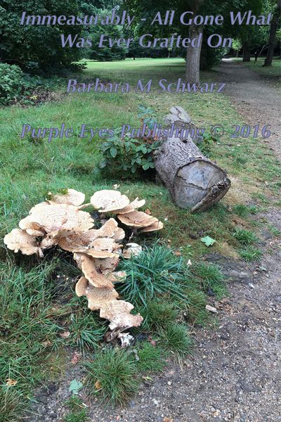 Produktbild: Immeasurably - All Gone What Was Ever Grafted On