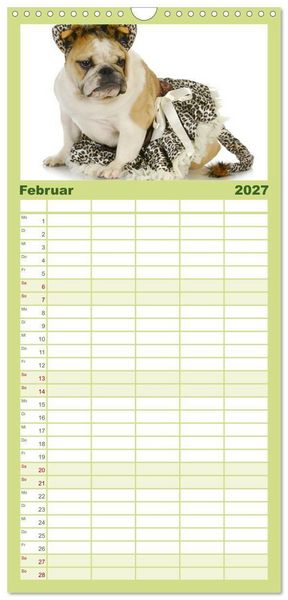 Produktbild: Familienplaner 2027 - English Bulldog XXL Models mit 5 Spalten (Wandkalender, 21 x 45 cm) CALVENDO