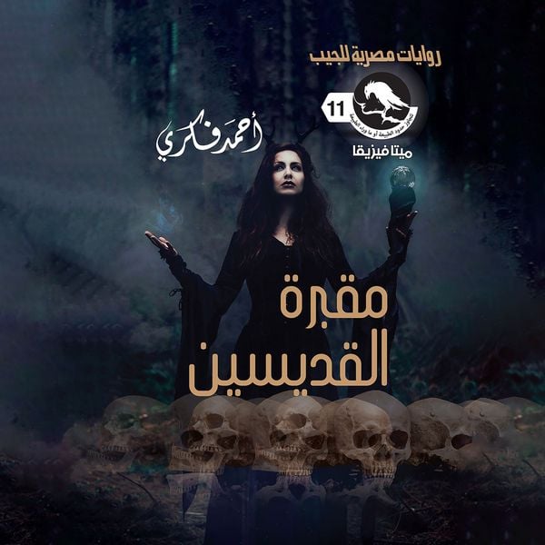Produktbild: The cemetery of the saints
