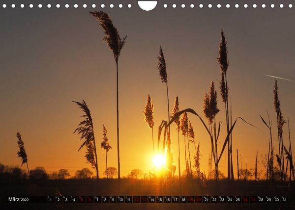 Produktbild: Neustadt am R&uuml;benberge Natur in Stadtn&auml;he (Wandkalender 2022 DIN A4 quer)